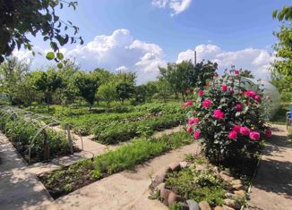 Дом на продажу, 40 м2, садовое товарищество Агроном, Цветочная улица, 424