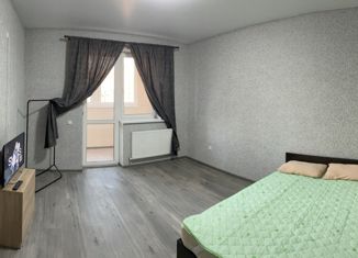 Сдается однокомнатная квартира, 40 м2, Краснодар