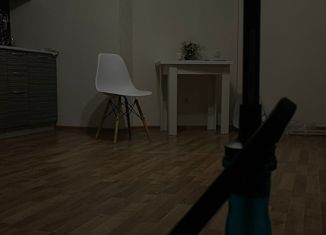 Продажа квартиры студии, 25 м2, Челябинск, Телевизионная улица, 18А, ЖК ЭвоПарк