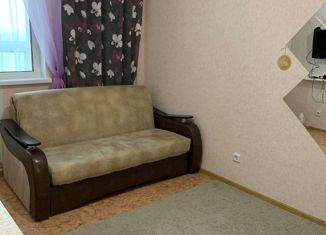 Продается квартира студия, 20 м2, Нижний Новгород, метро Буревестник, Бурнаковская улица, 93