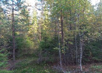 Продаю участок, 12 сот., деревня Красный Двор