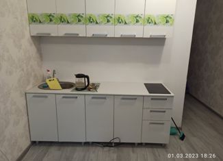 Продается квартира студия, 21.5 м2, Оренбург, Уральская улица, 2/19, ЖК Дубки