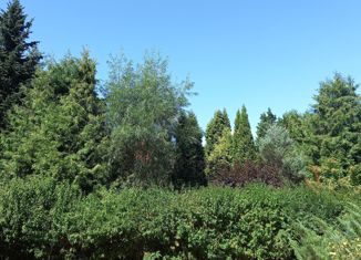 Продается земельный участок, 6 сот., деревня Хоругвино, деревня Хоругвино, 12Б