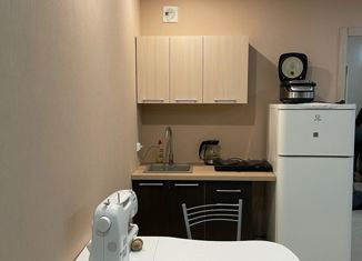 Квартира на продажу студия, 25.6 м2, посёлок Новогорелово, бульвар Десантника Вадима Чугунова, 1к1