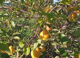 Продажа дома, 20 м2, Волжский, Земляничная улица