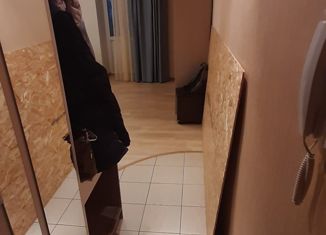 Сдам в аренду 1-комнатную квартиру, 35 м2, Нижний Новгород, улица Героя Попова, 11, микрорайон Карповка