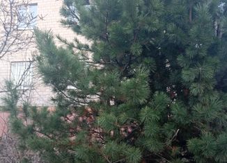 Продажа дома, 320 м2, деревня Мударисово, Юбилейная улица, 25