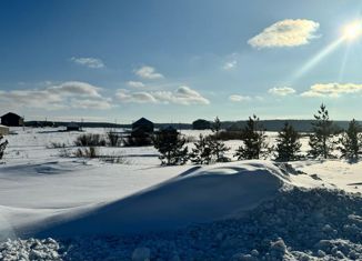 Земельный участок на продажу, 10 сот., Бавлы, улица Зиновьева