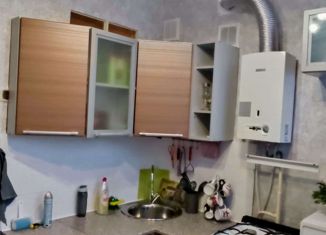 Продажа 1-ком. квартиры, 39.3 м2, Нижний Новгород, Кировская улица, 14, Кировская улица