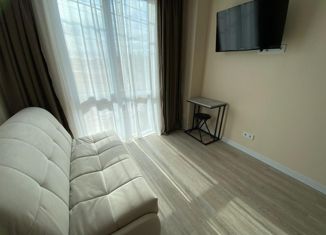 Продаю квартиру студию, 17 м2, Сочи, Взлётная улица, 23, микрорайон Центральный