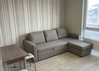 1-ком. квартира в аренду, 27 м2, Владивосток, улица Майора Филипова, 11к1