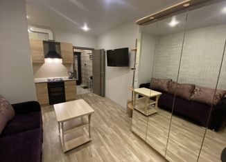 Продаю квартиру студию, 22 м2, Санкт-Петербург, улица Маршала Тухачевского, 23, улица Маршала Тухачевского