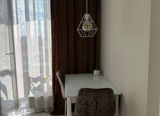 Продажа однокомнатной квартиры, 32.6 м2, Новосибирск, улица Ясный Берег, 9, улица Ясный Берег