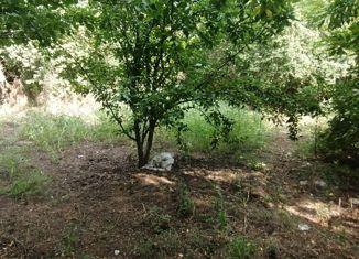 Продам дом, 52.3 м2, станица Бузиновская, улица Гагарина