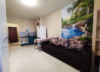 Продается 1-комнатная квартира, 22.4 м2, село Михайловка, Новоуфимская улица, 15