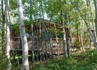 Продам дом, 55 м2, деревня Большие Горки, Добрая улица