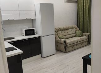 Сдача в аренду 1-ком. квартиры, 37 м2, Анапа, Анапское шоссе, 24к3, ЖК Раз-Два-Три