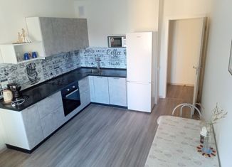 Сдам в аренду трехкомнатную квартиру, 65.6 м2, посёлок Парголово, Толубеевский проезд, 36к3