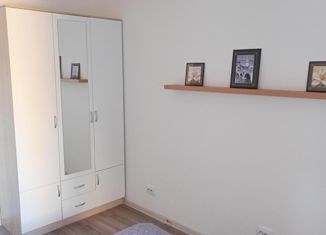 Сдаю в аренду трехкомнатную квартиру, 66 м2, посёлок Парголово, Толубеевский проезд, 36к3