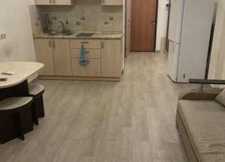 Продается квартира студия, 26.6 м2, село Высокое, Зелёная улица, 2Б