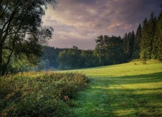 Продам участок, 16 сот., деревня Покрово-Иртышское