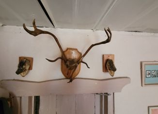 Продаю дом, 42 м2, село Илев, Зелёная улица, 13