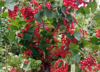 Продаю дом, 80 м2, село Дуван, улица Коминтерна