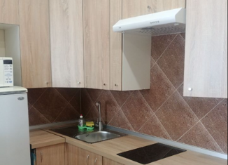 Сдам квартиру студию, 23 м2, Санкт-Петербург, улица Маршала Тухачевского, 23, улица Маршала Тухачевского