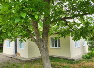 Продаю дом, 79 м2, село Добрушино, Виноградная улица, 55