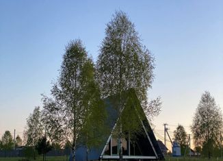 Продам дом, 43 м2, деревня Свинская, 9-я линия