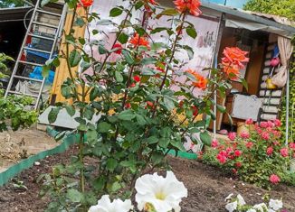 Продам дом, 35 м2, Копейск, садовые участки Дзержинец, 745