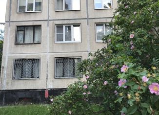 2-комнатная квартира на продажу, 49 м2, Санкт-Петербург, улица Руставели, 2, муниципальный округ Пискарёвка