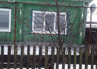 Продаю дом, 40 м2, село Русский Камешкир, Южная улица