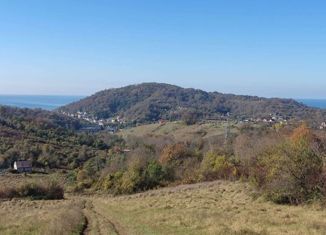 Продается участок, 6.4 сот., жилищно-садоводческое товарищество Русь, жилищно-садоводческое товарищество Русь, 258