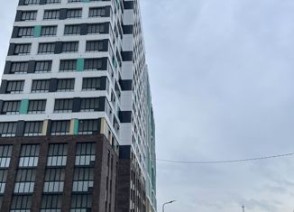 Продажа квартиры студии, 24.5 м2, посёлок Тельмана, Парковая улица, 6к1