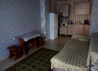 1-комнатная квартира в аренду, 31 м2, Иркутск, улица Академика Курчатова, 13, Свердловский округ