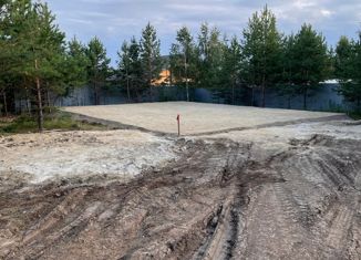 Продаю участок, 10 сот., деревня Гусева