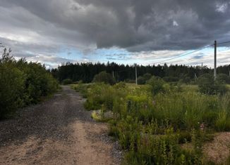 Продам участок, 8 сот., деревня Циково