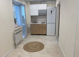 Сдается в аренду квартира студия, 25 м2, село Тополево, Гаражная улица, 17