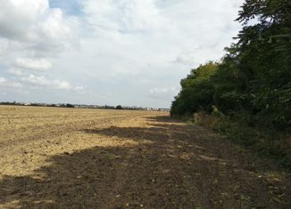 Продажа земельного участка, 394 сот., садовые участки Ивушка, Центральная улица