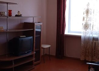 Продается 1-комнатная квартира, 29.3 м2, Нижегородская область, Молодёжная улица, 1
