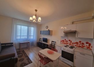 Сдается квартира студия, 27 м2, Мурино, бульвар Менделеева, 7к1, ЖК Солнечный