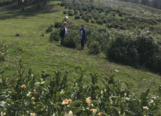 Продаю участок, 4.7 сот., село Измайловка