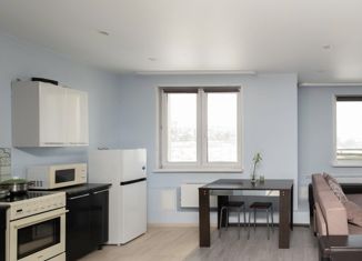 Продажа квартиры студии, 33 м2, поселок городского типа Емельяново, Новая улица, 21Б