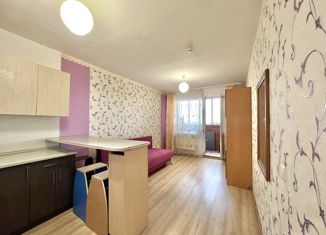 Квартира на продажу студия, 24.1 м2, поселок Октябрьский, Полесская улица, 6