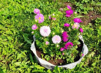 Продается участок, 15 сот., село Краснояр-I, улица Ленина