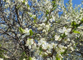 Дом на продажу, 143 м2, Дюртюли, улица Зии Мансура, 21