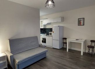 Сдается квартира студия, 30.8 м2, поселок Бугры, Гаражный проезд, 27к2, ЖК Новые Горизонты