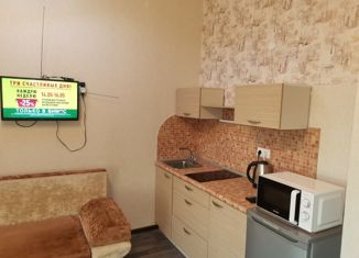 Сдается в аренду квартира студия, 24 м2, Псков, улица Ижорского Батальона, 57А