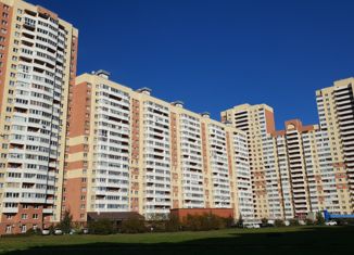 Продам квартиру студию, 25.5 м2, Санкт-Петербург, метро Дунайская, Дунайский проспект, 55к1